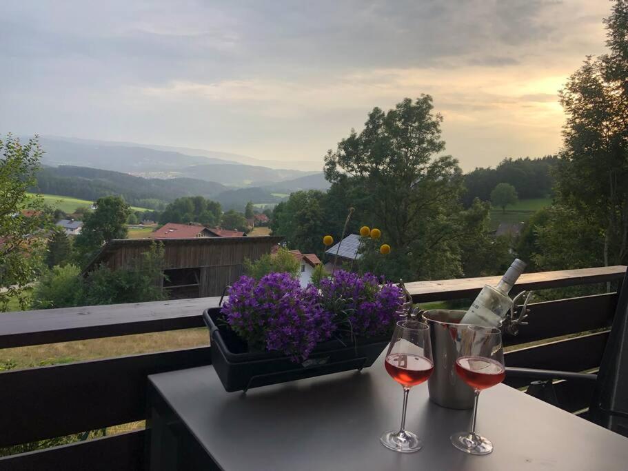 Panoramablick 2 Böbrach
